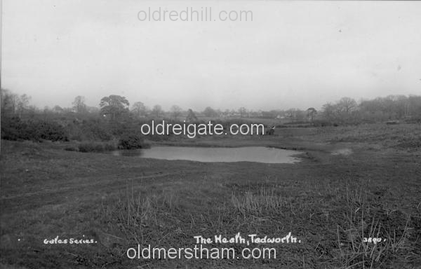 Image number 142&prevurl=publishers27