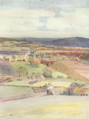 Image number 13