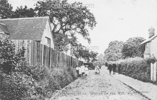 Image number 506&prevurl=publishers74