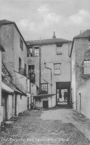 Image number 2302
