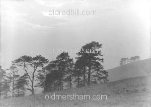 Image number 4543